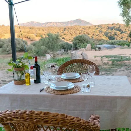 Apartman L'olivastro Mini