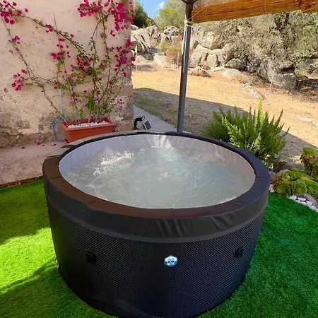 Apartamento L'olivastro Mini *